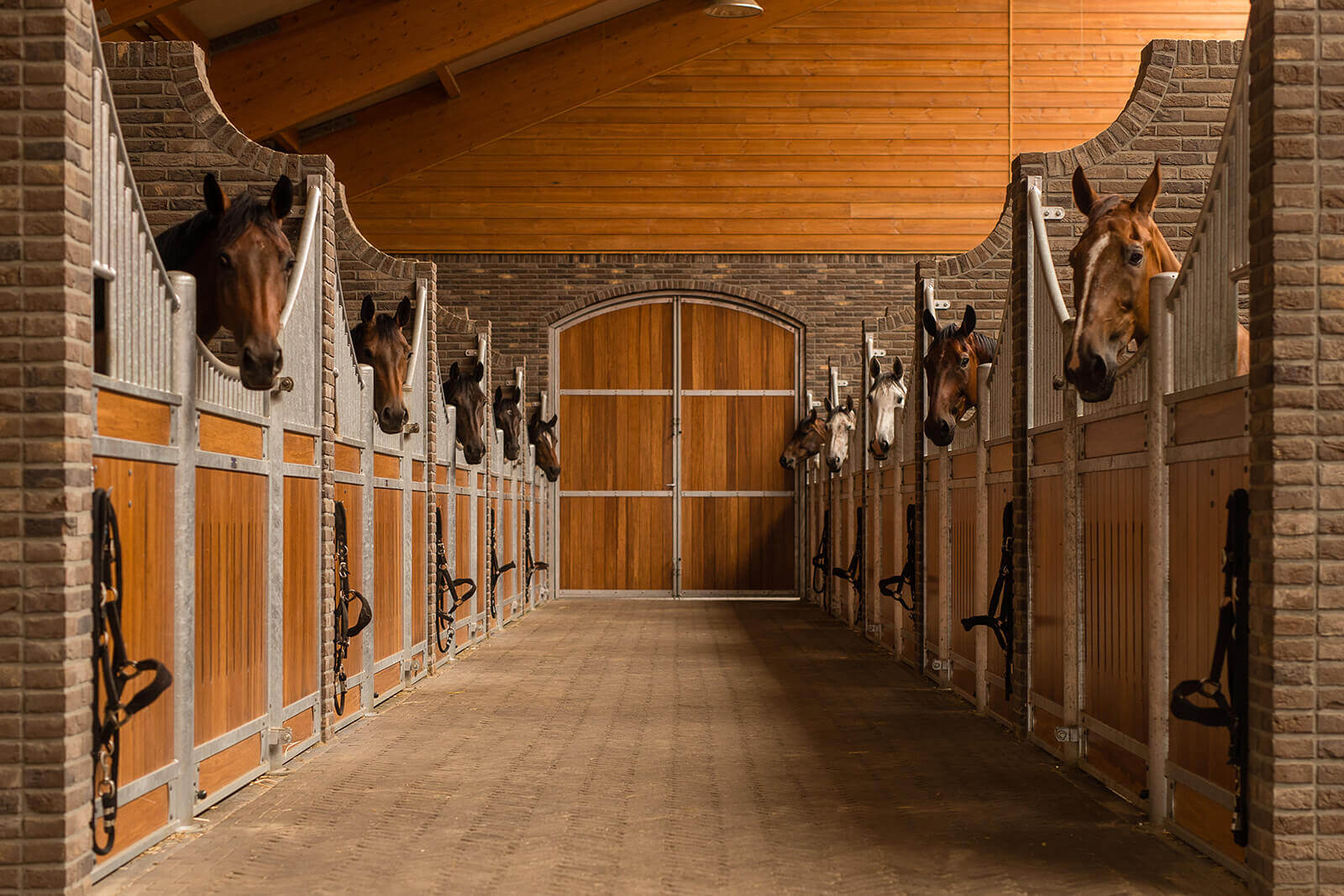 stallen-wise-stables